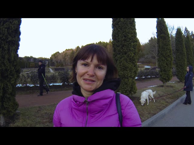 Видео от гостя