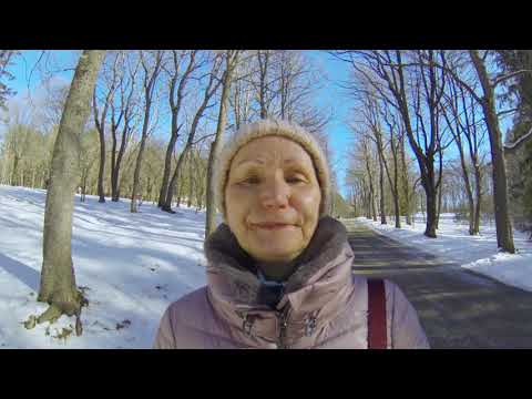 Видео от гостя