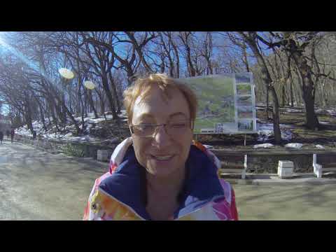 Видео от гостя