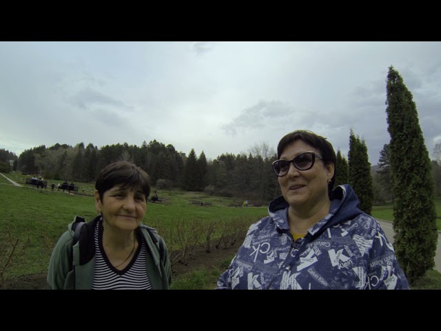 Видео от гостя