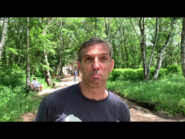 Видео от гостя