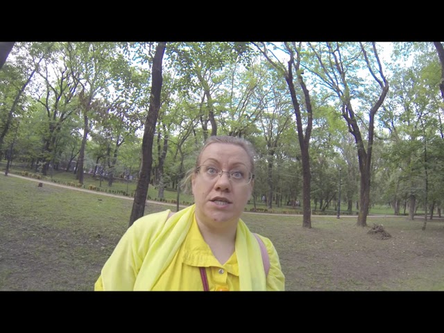 Видео от гостя