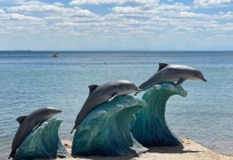 Санатории на Чёрном море
