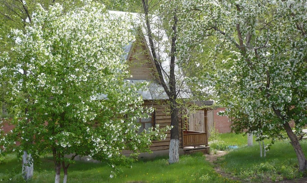 2-местный летний