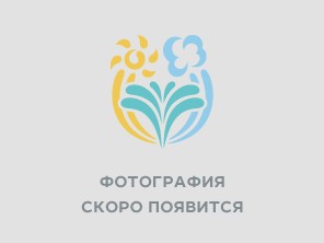 3-комнатный номер «Полулюкс» №325
