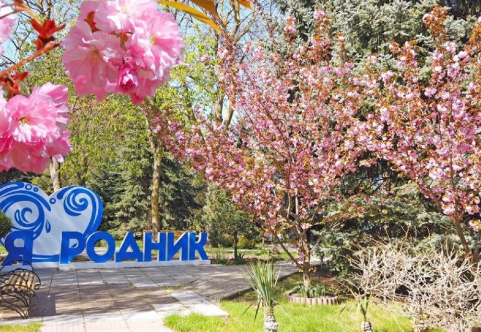 Родник
