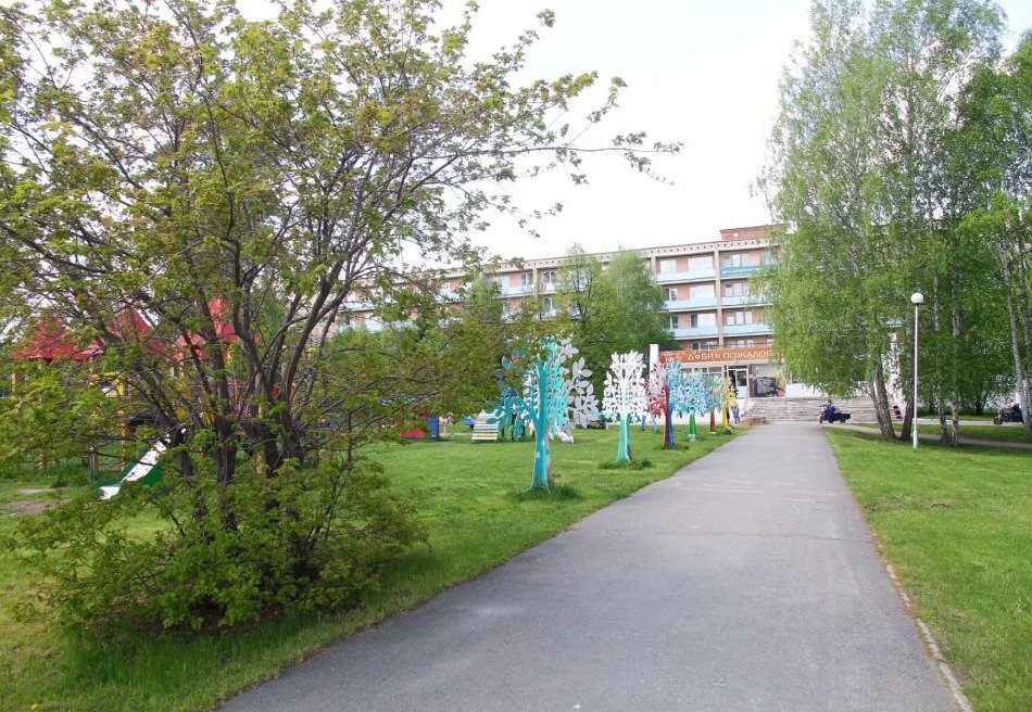 Карагайский бор