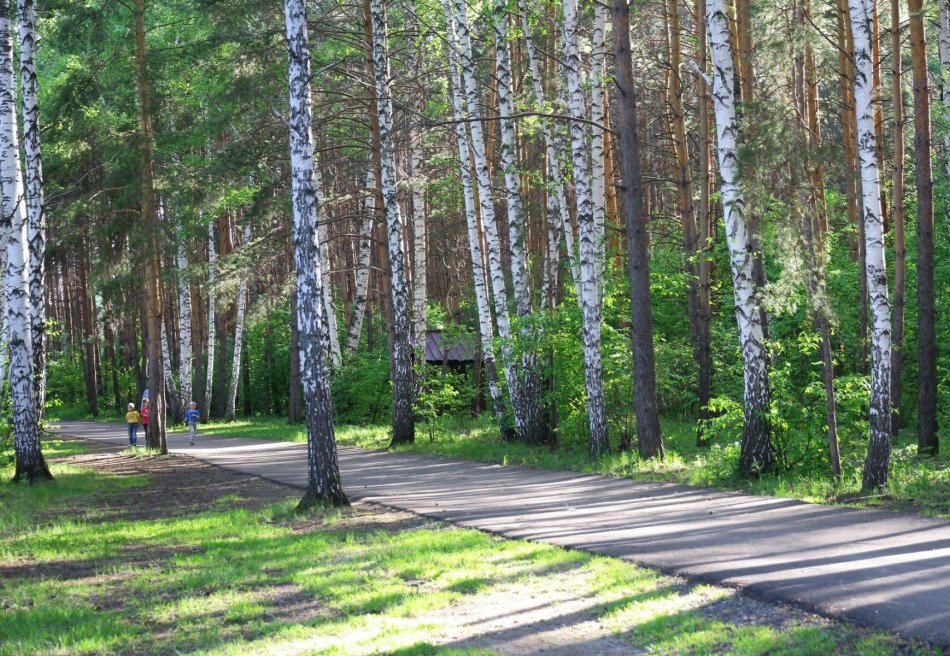 Карагайский бор