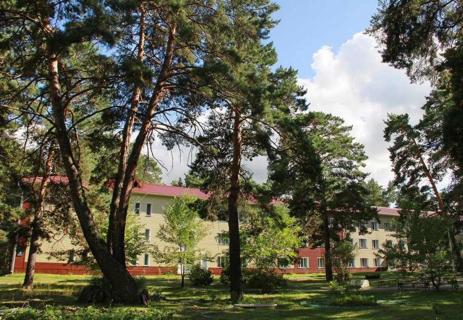 Лесники