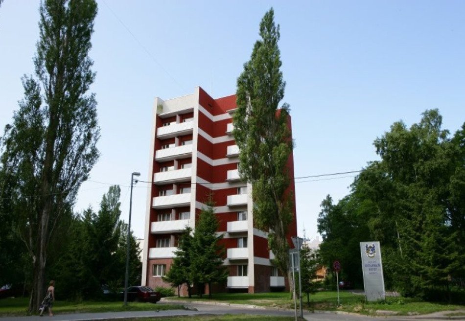 Янтарный берег