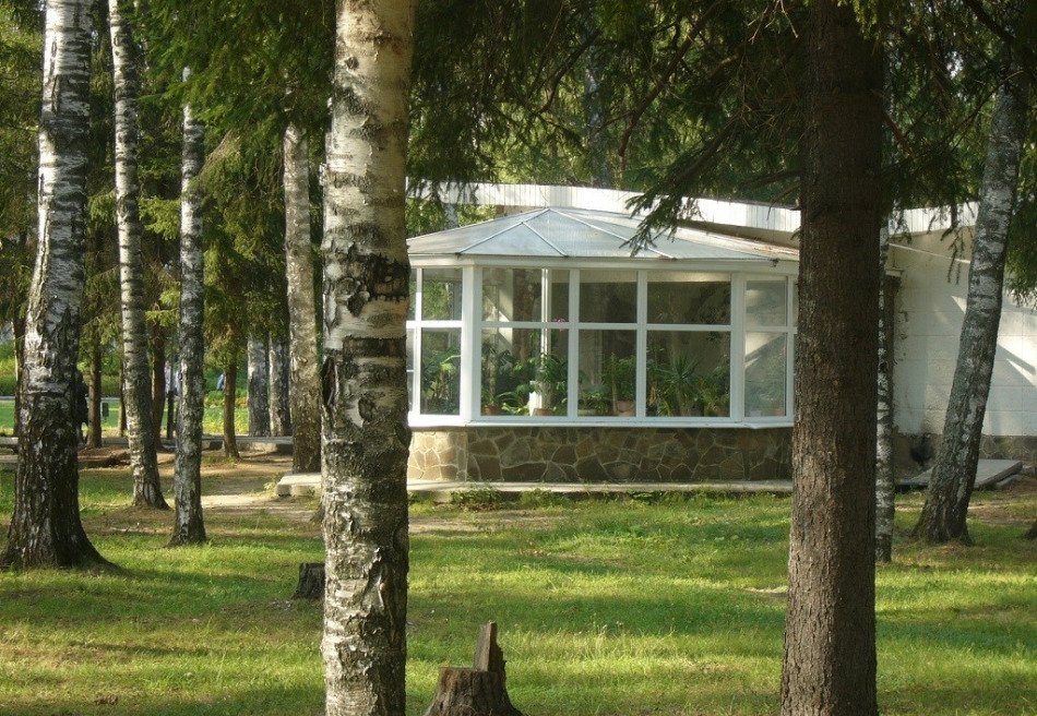 Зелёный городок