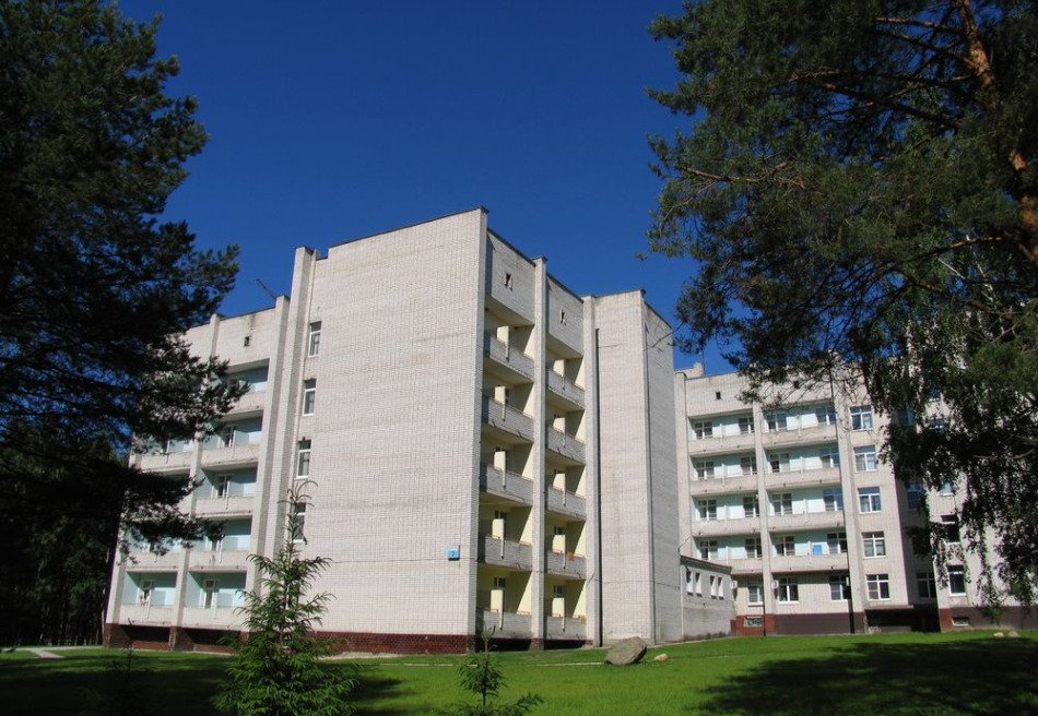 Вольгинский