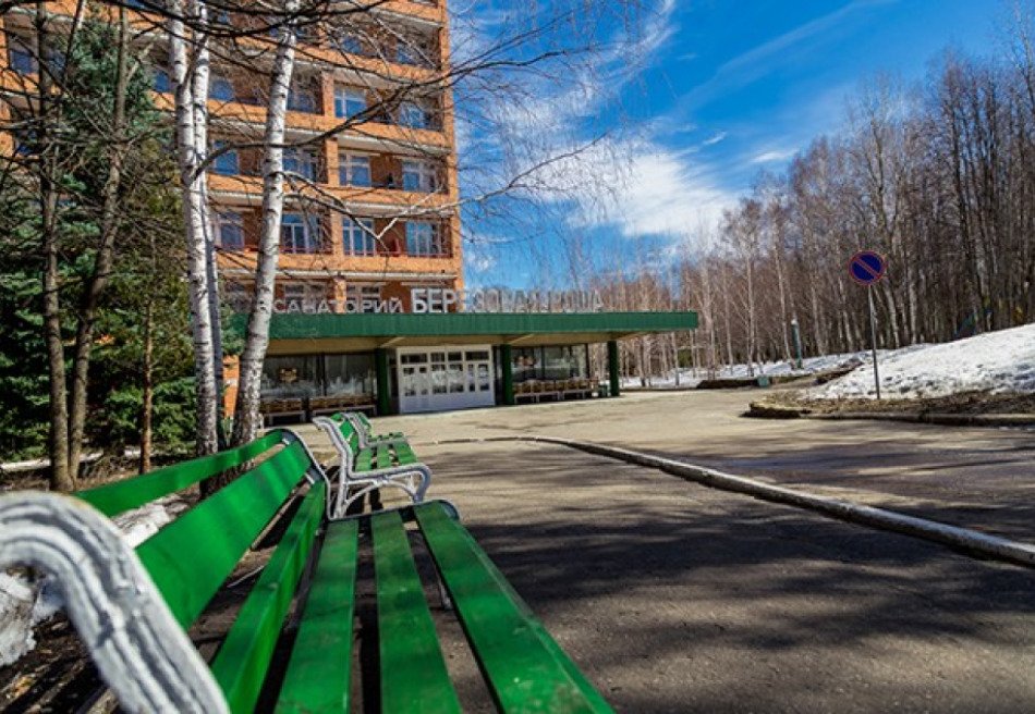 Березовая роща