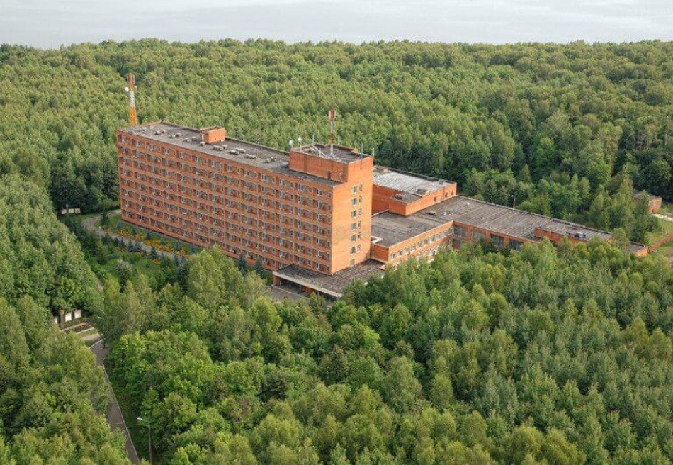 Березовая роща