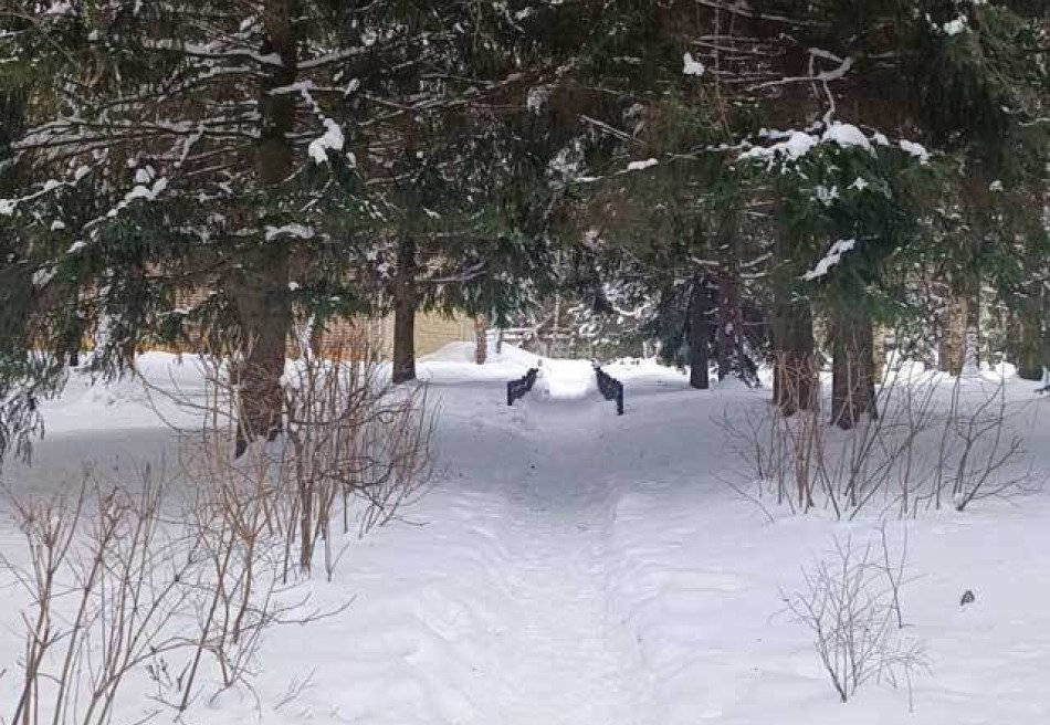 Егнышевка