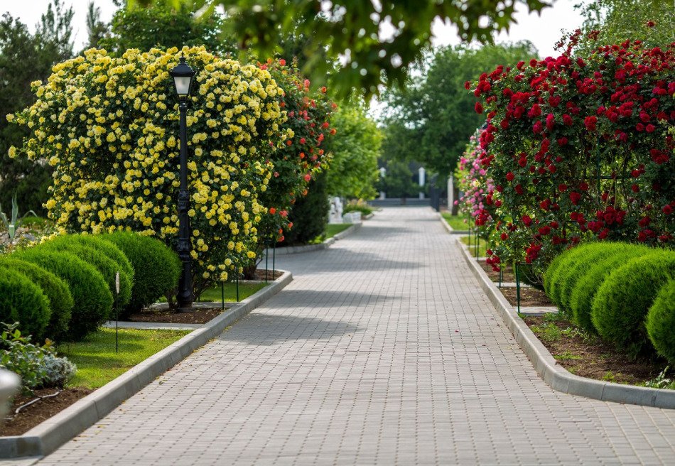 Сакрополь