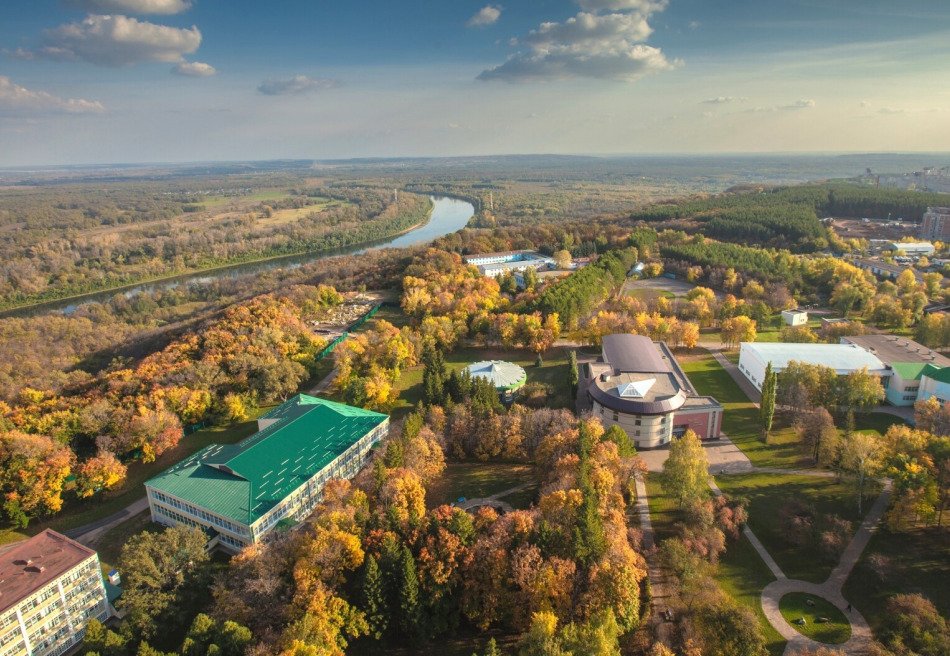 Зеленая роща