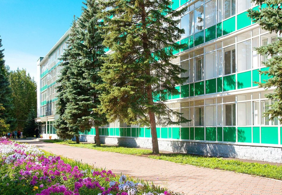 Зеленая роща