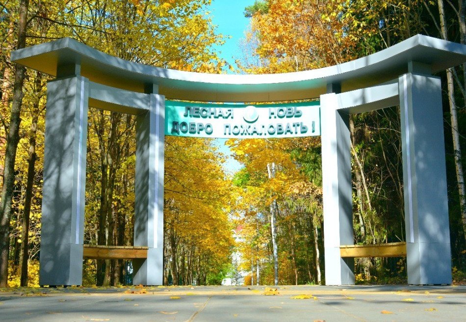 Лесная Новь