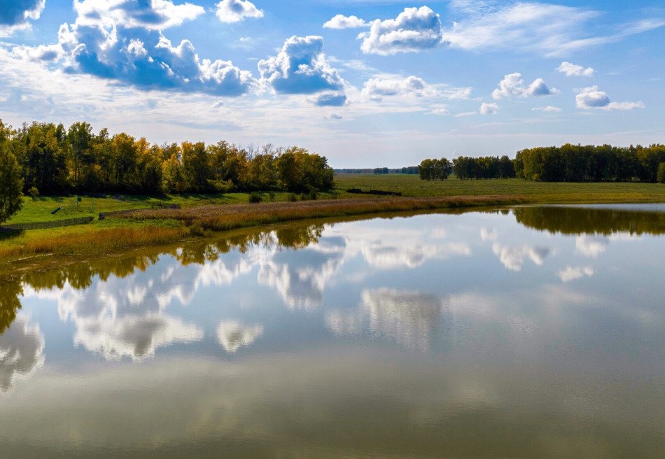 Доволенский