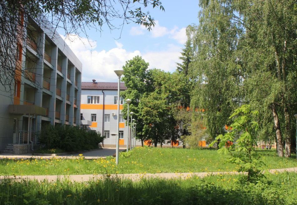 Боровичи
