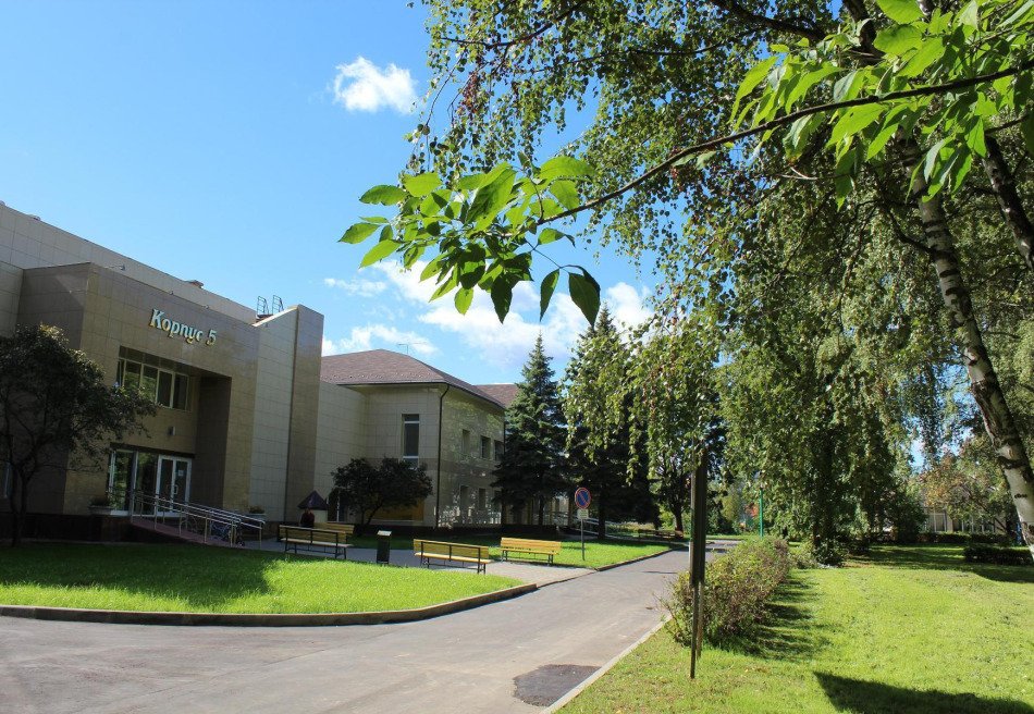 Елочки