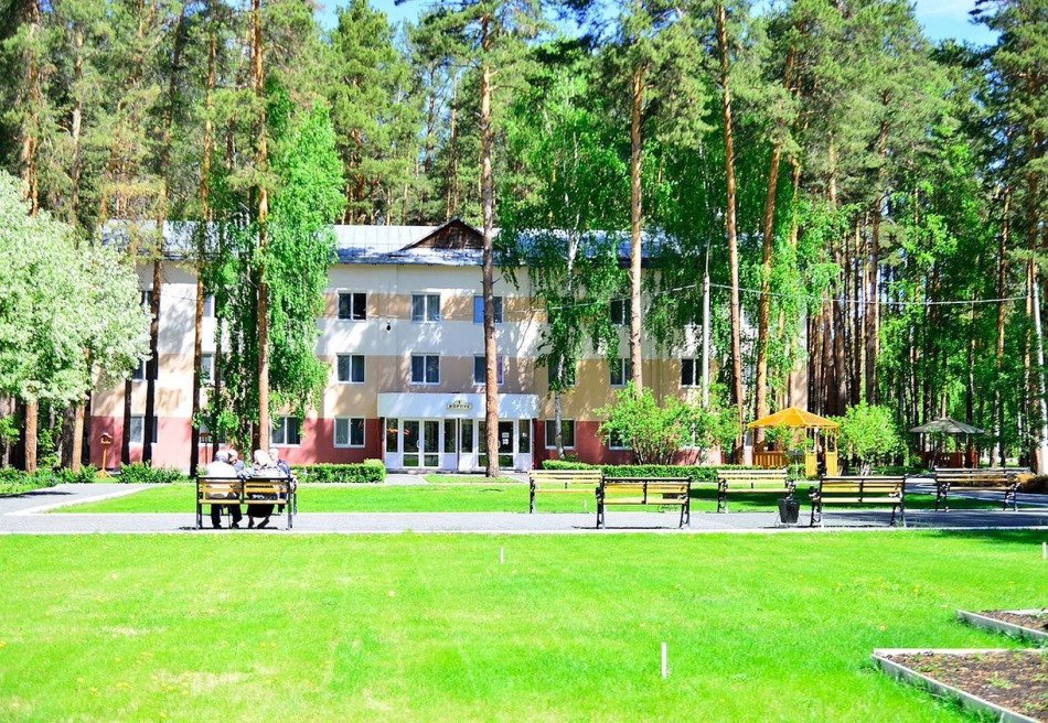 Красная гвоздика