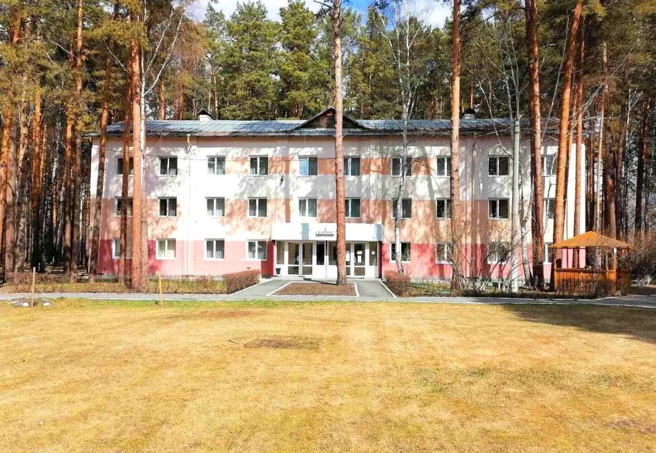 Красная гвоздика