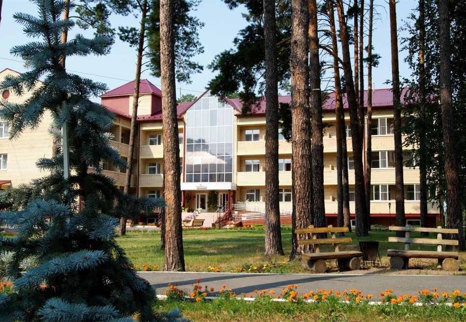 Красная гвоздика
