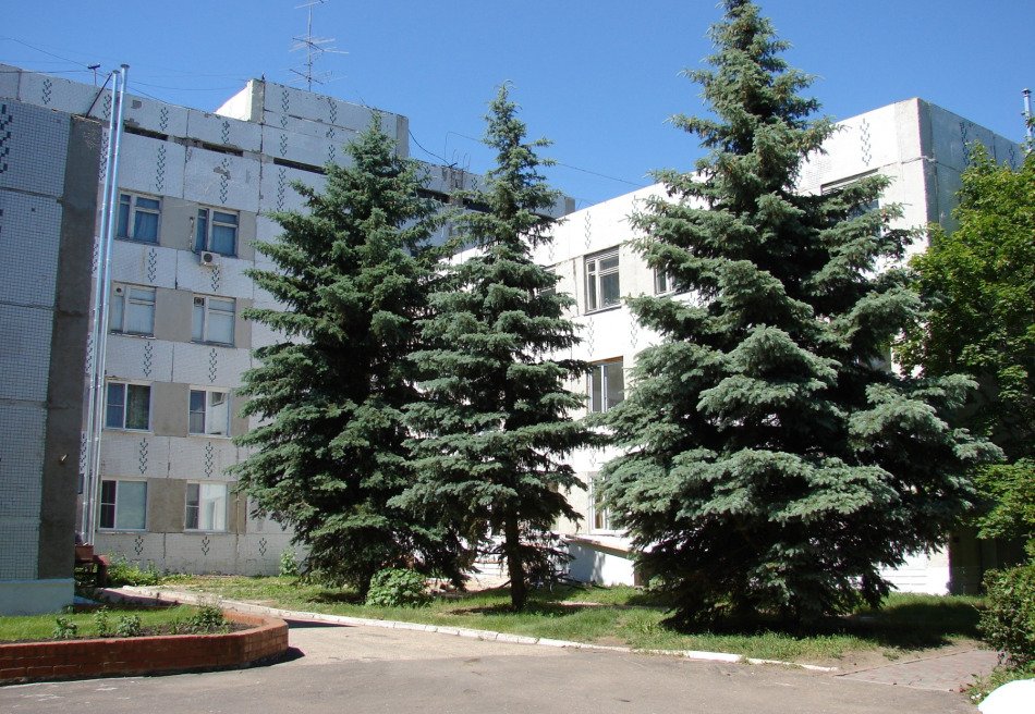 Колос