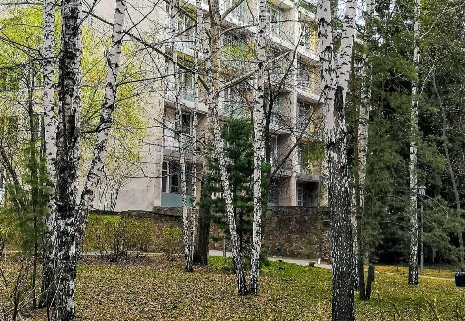 Ельцовка