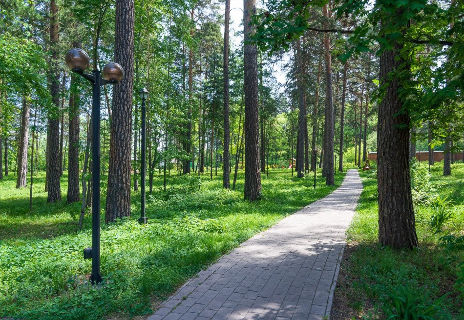 Парус 