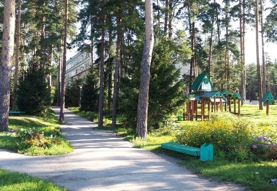 Сосновый бор
