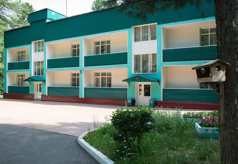 Кедровый бор