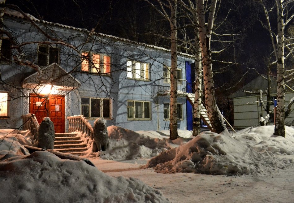 Лесная сказка