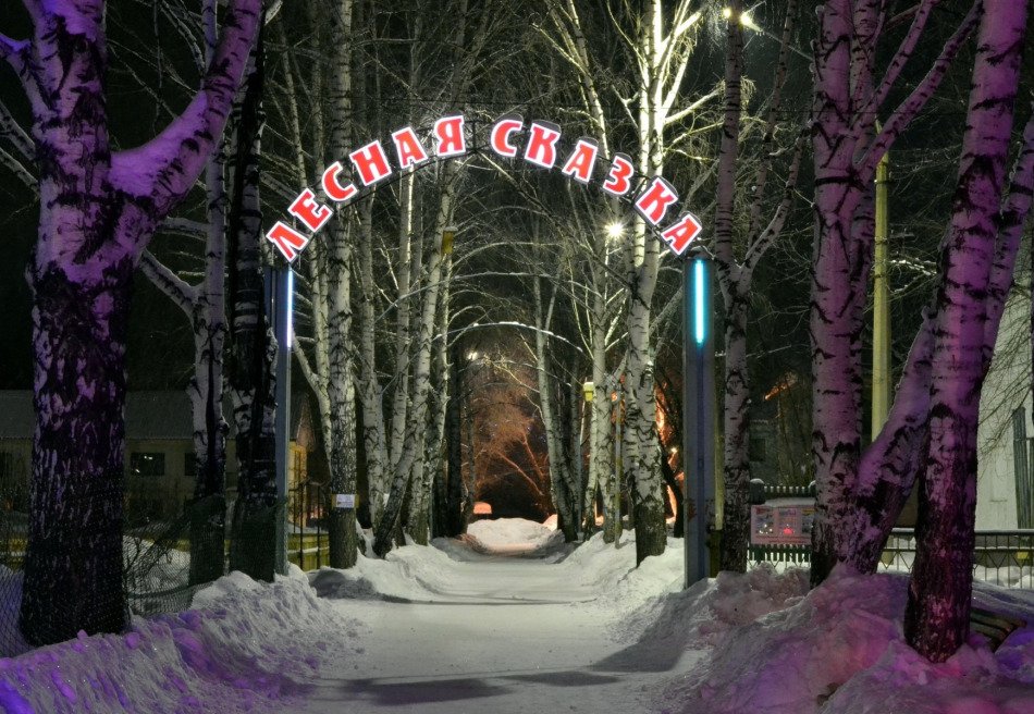 Лесная сказка