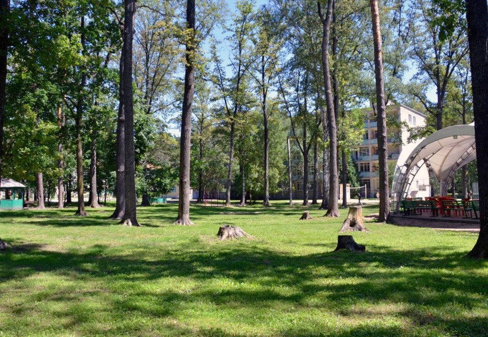 Энергетик