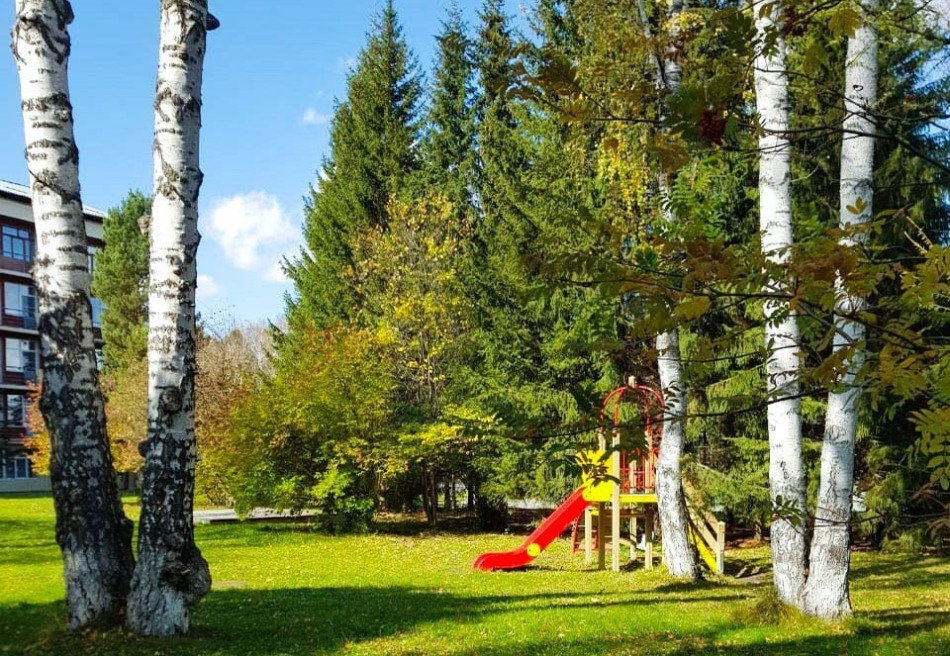 Энергетик
