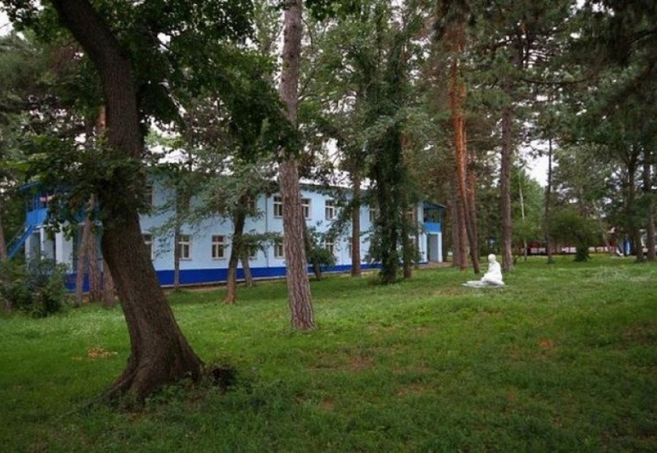 Пады