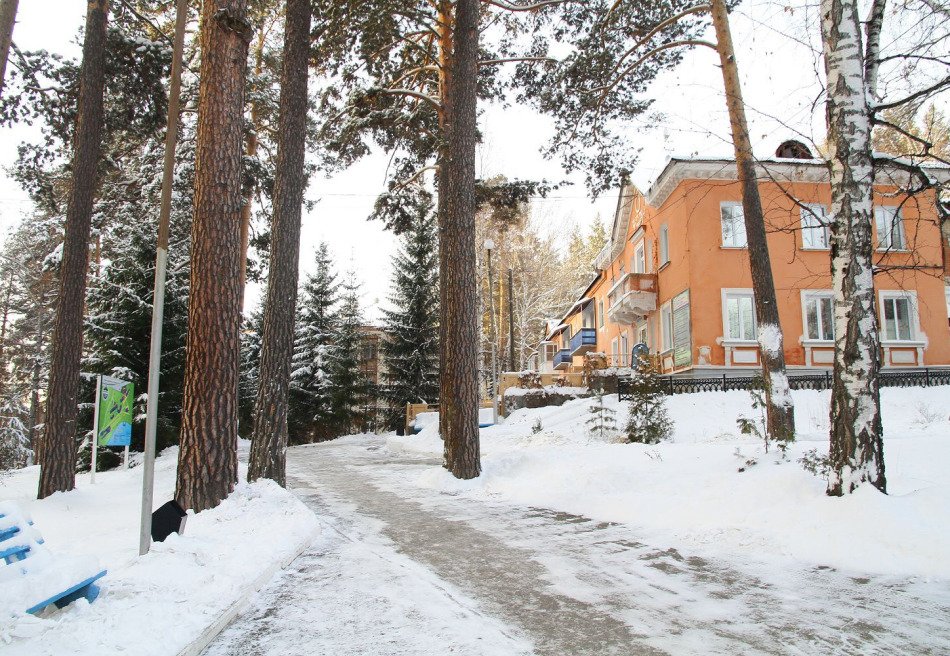 Сосновая горка