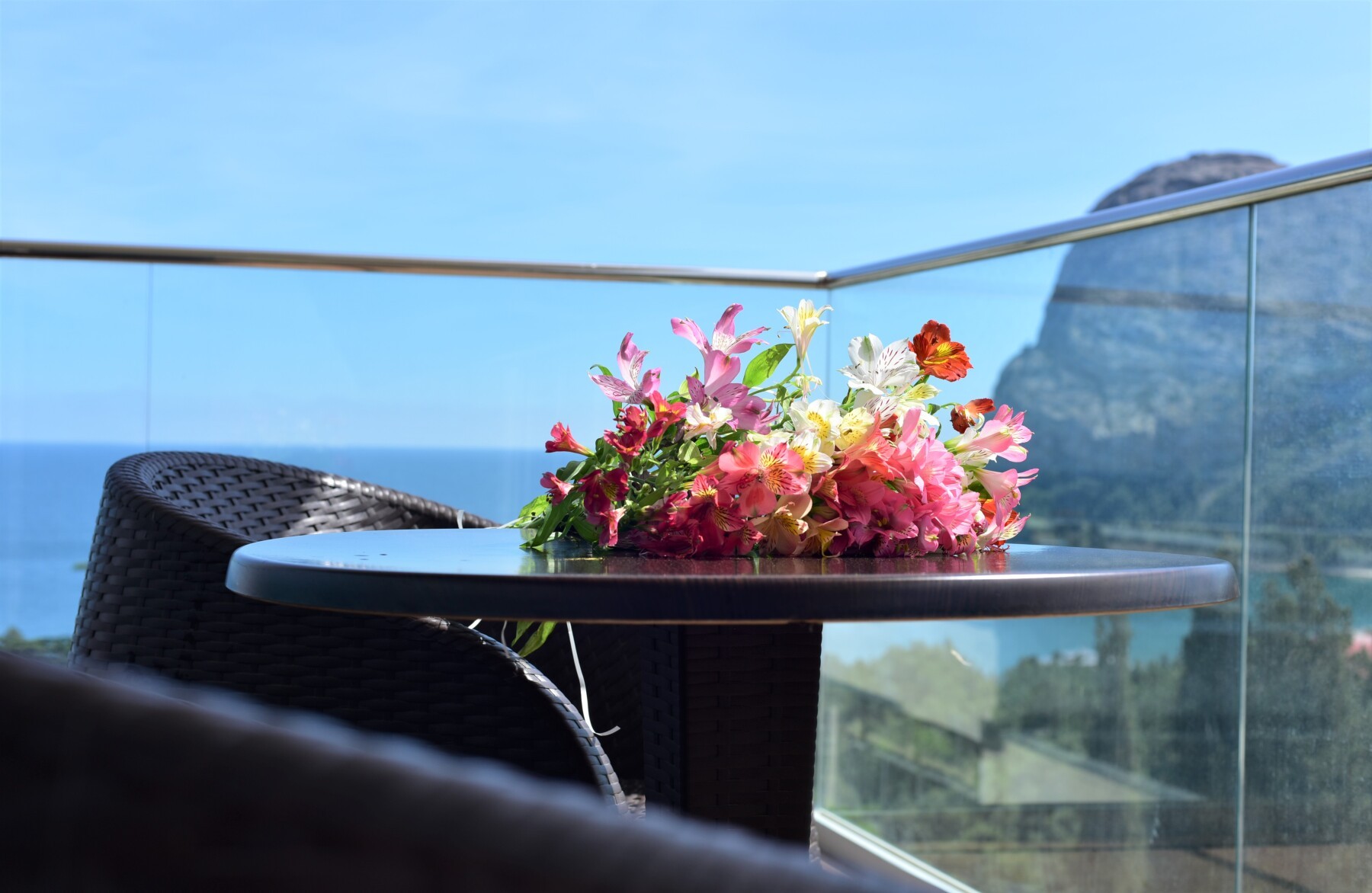 2-местный 2 комнатный 