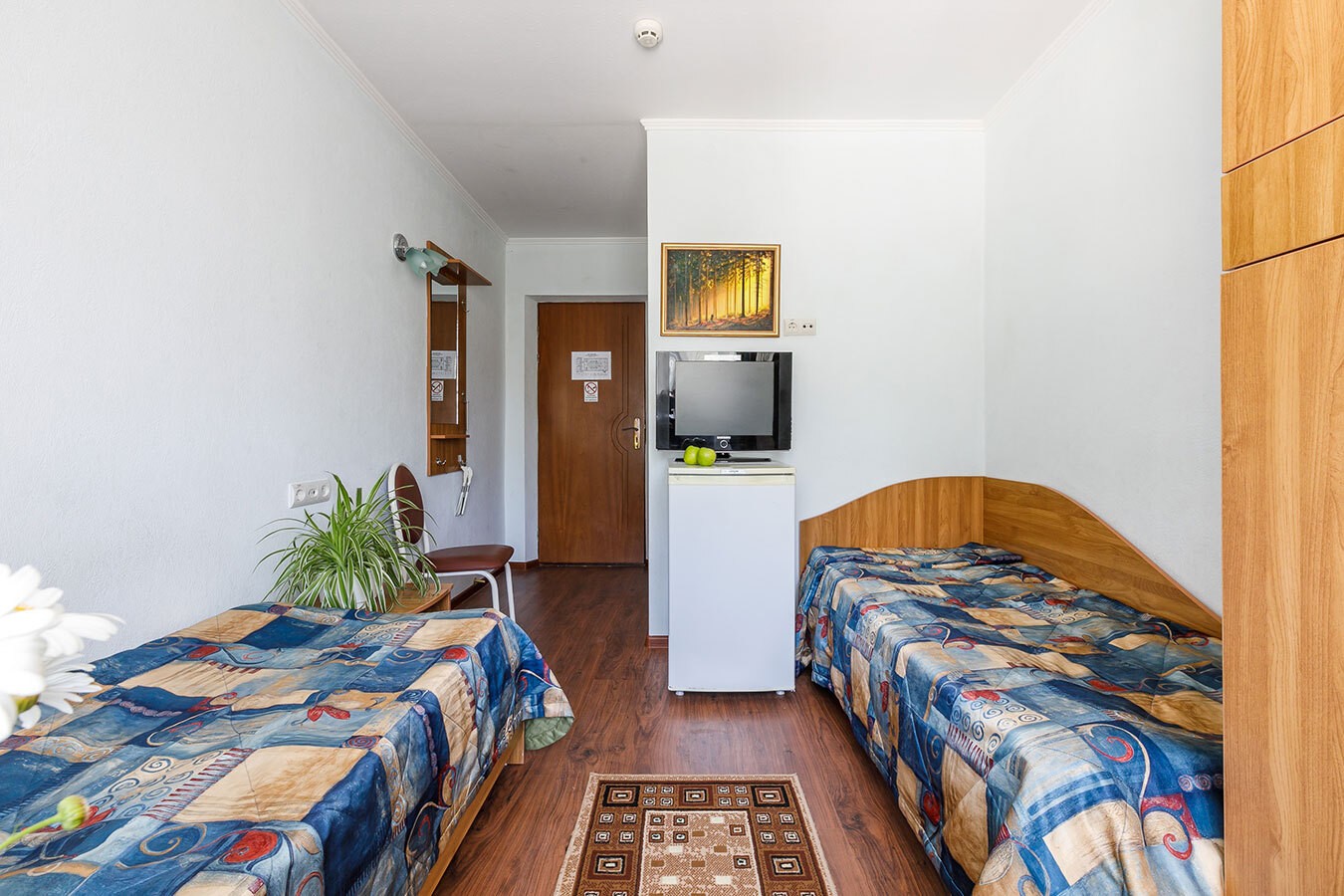 2-местный вид на горы