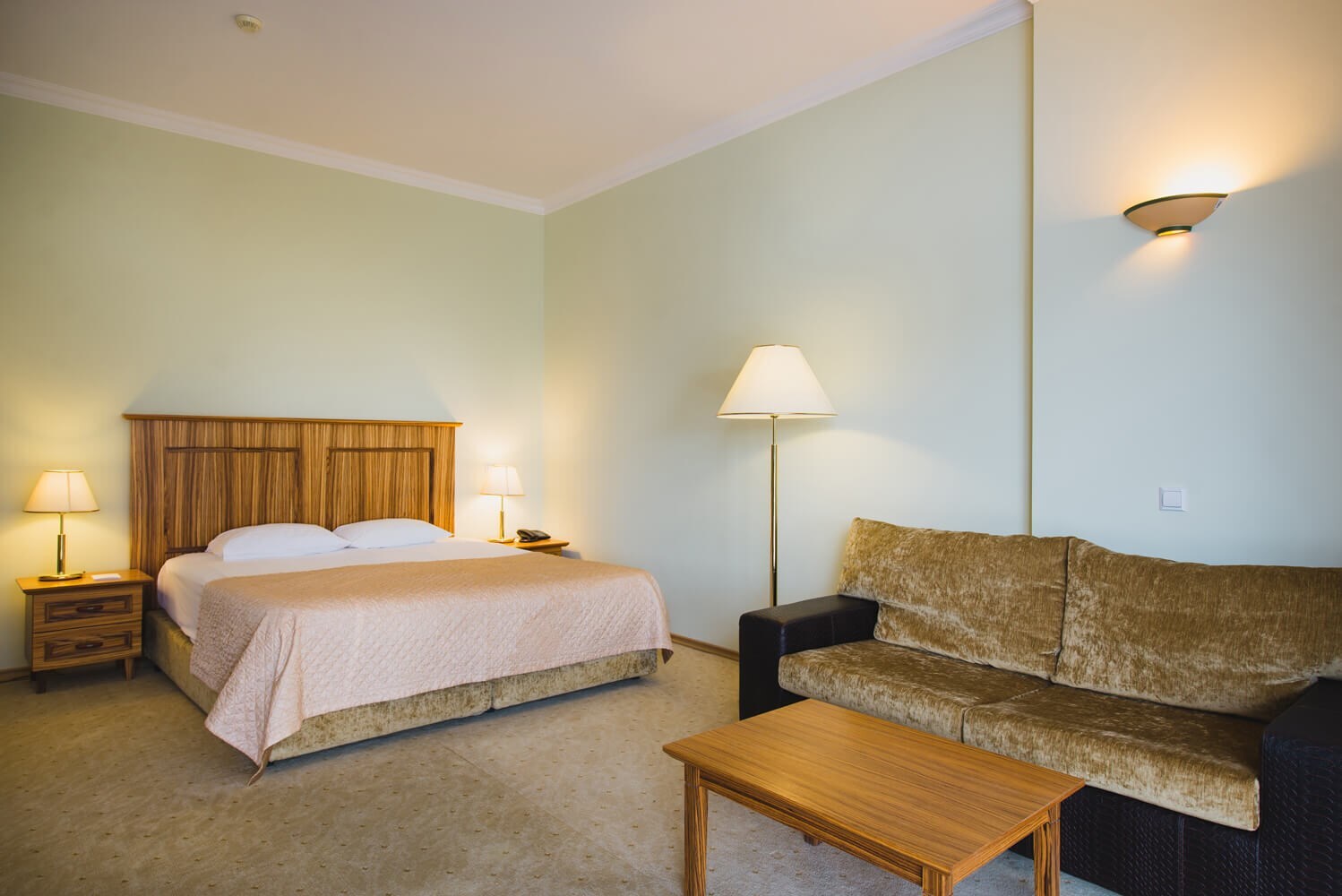 2-местный 1-комнатный (корпус 1,2,9, СПА отель)