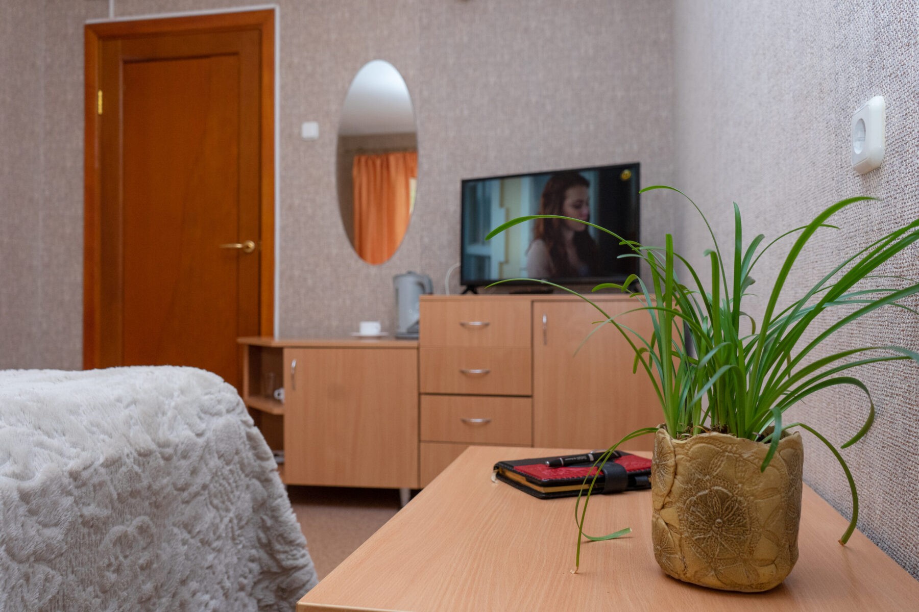 1-местный Single