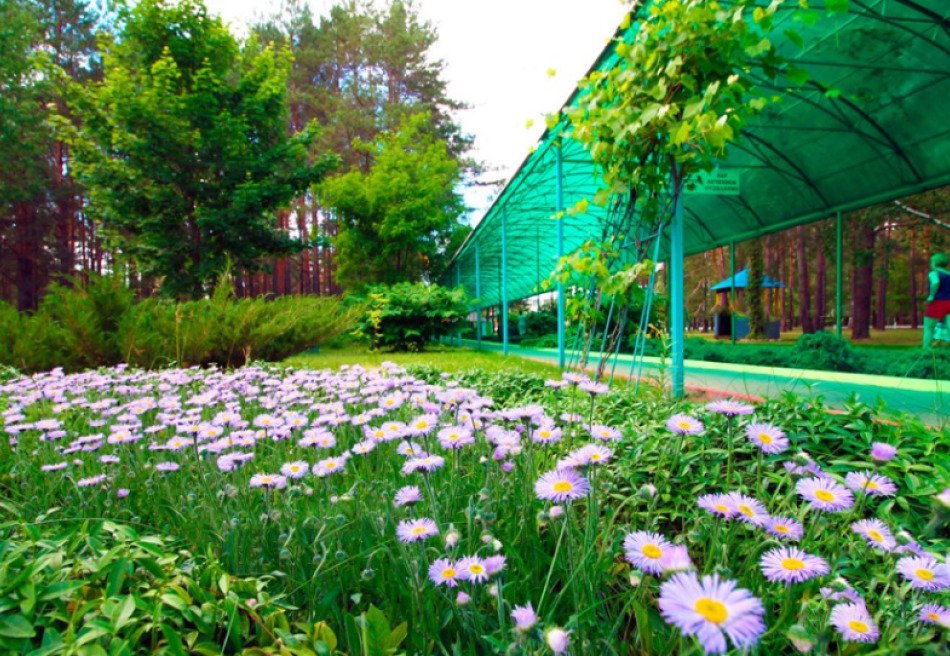 Приднепровский, Гомельская область