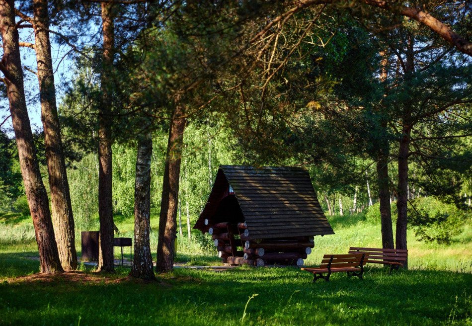 Сосновый бор, Минская область