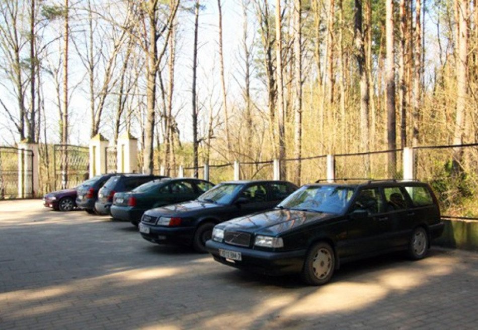 Подъельники