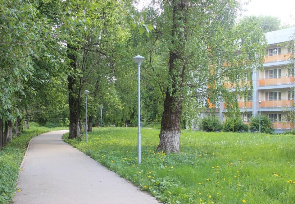 Боровичи