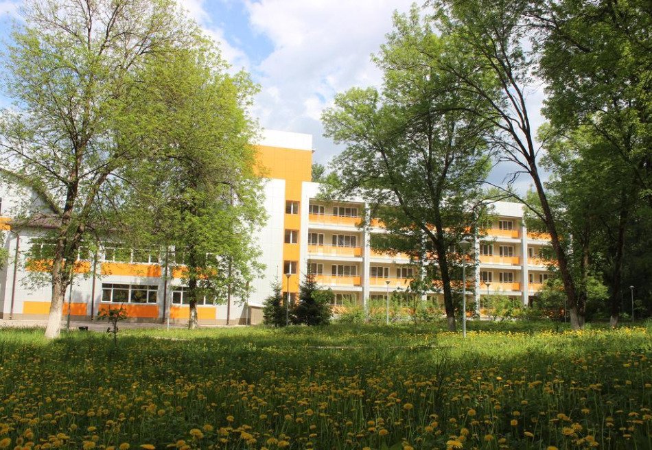 Боровичи