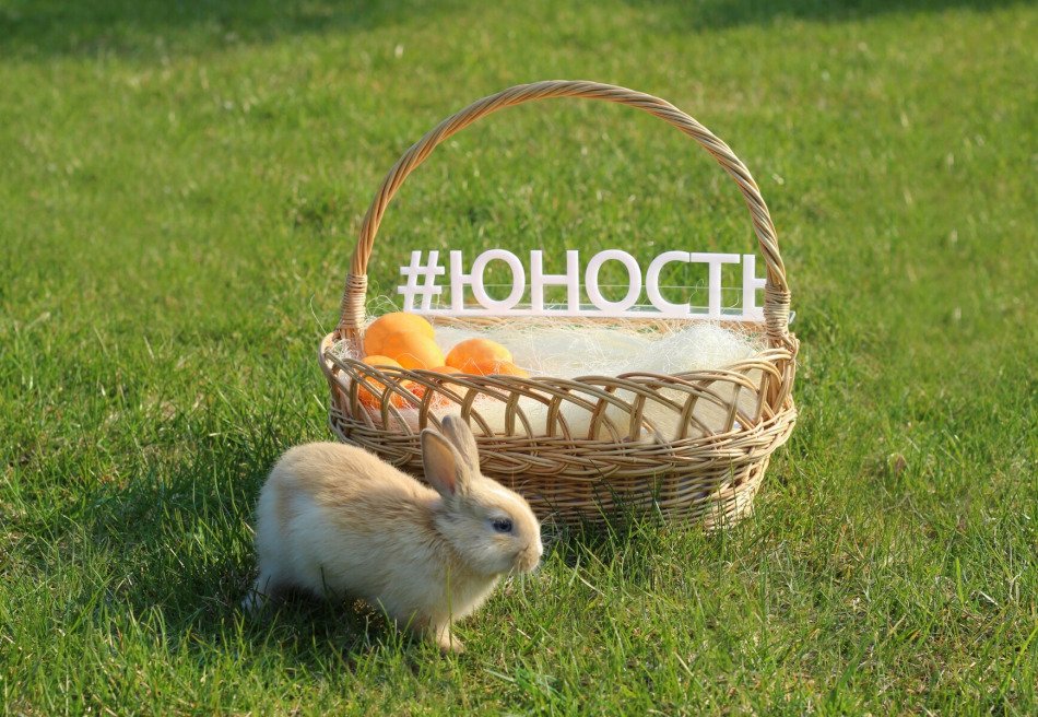 Юность, Минская область